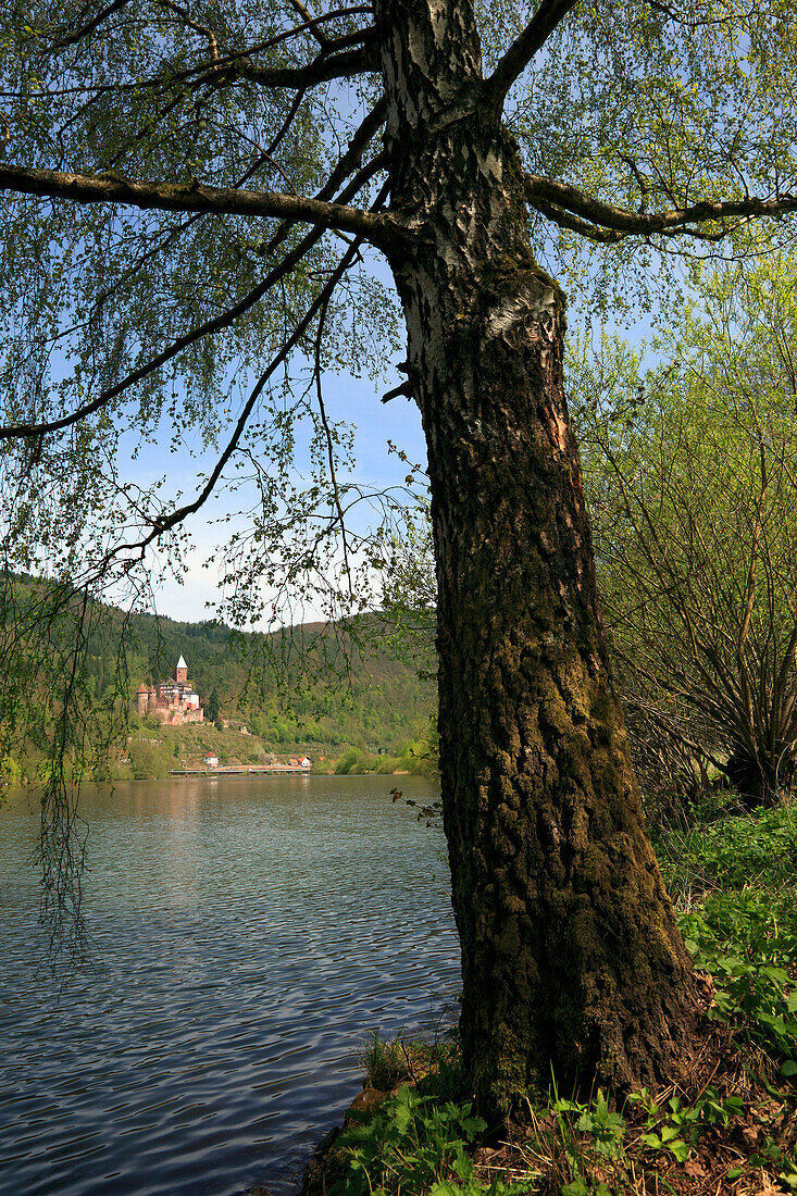 Blick über den Neckar zur Burg Zwingenberg, Neckar, Baden-Württemberg, Deutschland
