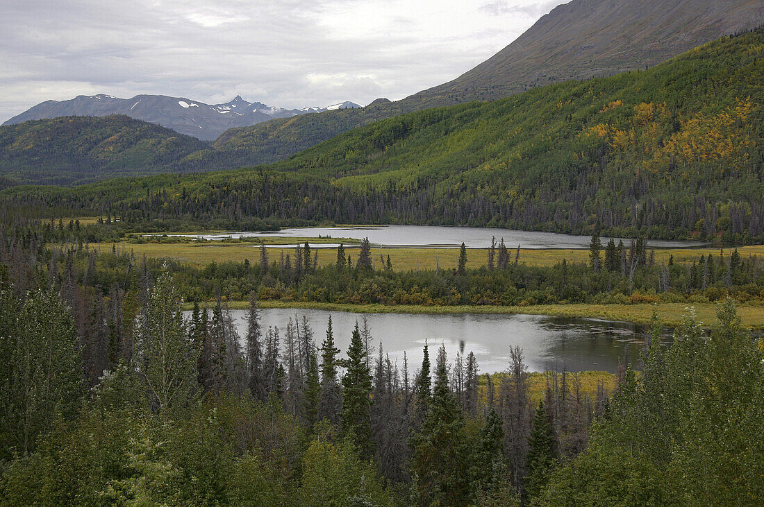 Herbstlandschaft, Twin Lakes, Yukon, Kanada
