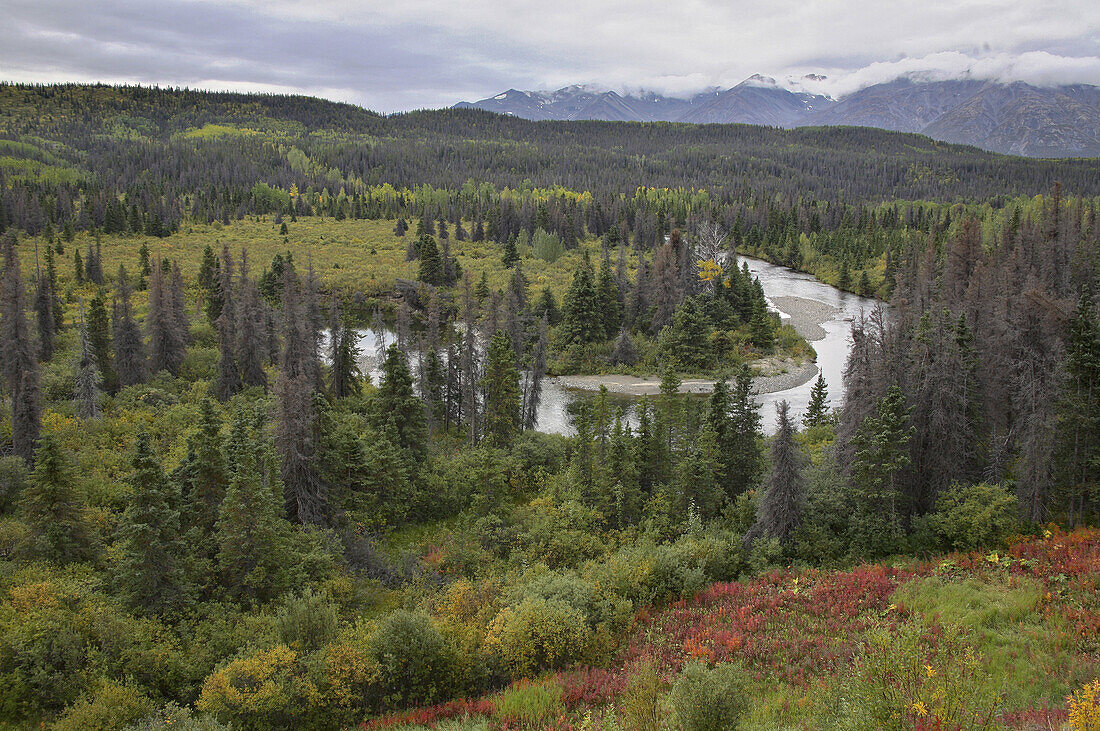 Blick über Landschaft mit Takahanne River, Yukon, Kanada