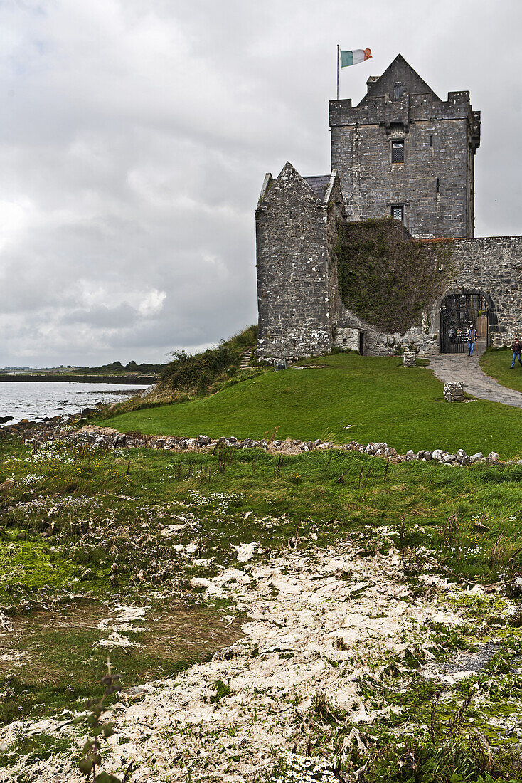 Dunguaire Castle, Galway Bay, County Clare, Ireland