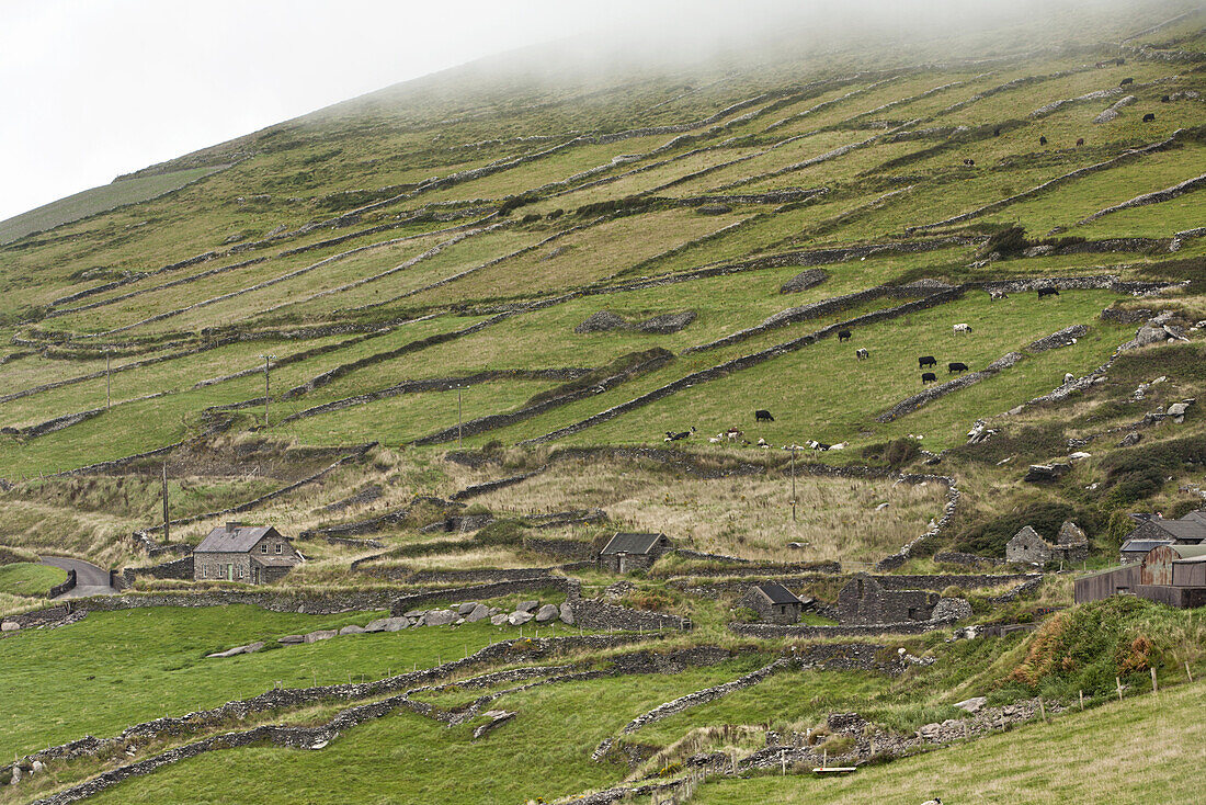 The Dingle Ring, Dingle Peninsula, County Kerry, Ireland