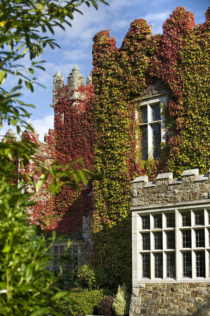 Waterford Schloss, Waterford, County Waterford, Irland