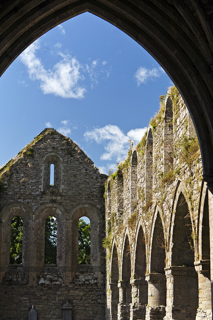 Jerpoint Abbey, Kilkenny, County Kilkenny, Irland