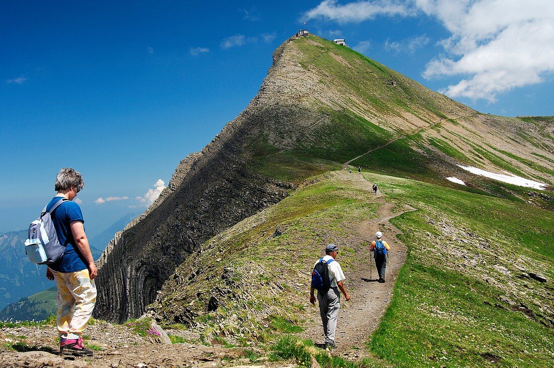 Hikers on the way to the Faulhorn peak, Bernese Oberland Switzerland