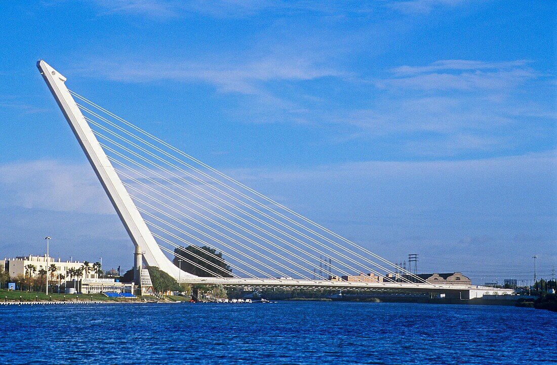 Bridge of the Alamillo in the river Guadalquivir  Seville, Andalusia, Spain