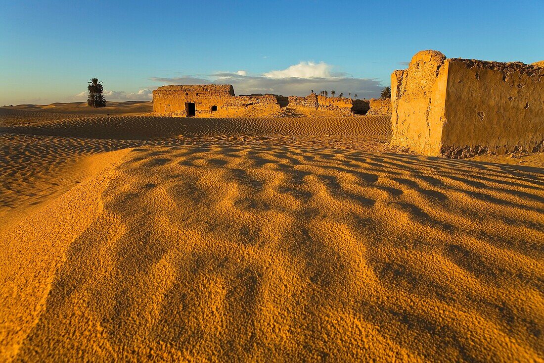 Tunisia Zaafrane Douz Desert