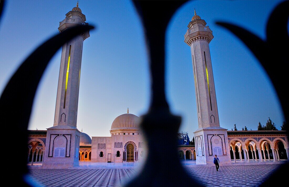 Tunez: Monastir Bourghiba Mausoleum