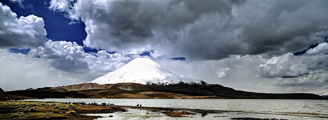 Vulcano Parinacota 6342m and Lago Chungara, Chile is part of the Lauca National Park in the Altiplano of northern Chile  During the rainy season or Bolivian Winter, daily thunderstorm are building up huge clouds bringing rain or hail  Lauca National Park