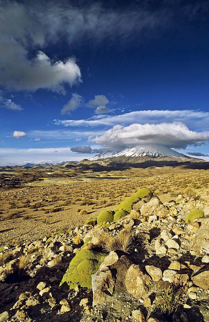 Vulcano Parinacota 6342m and Pomerape 6286m Chile during sunset are part of the Lauca National Park in the Altiplano of northern Chile  Lauca National Park is part of the Biosphere Reserve Lauca, The whole area is shaped by vulcanic processes  America, So