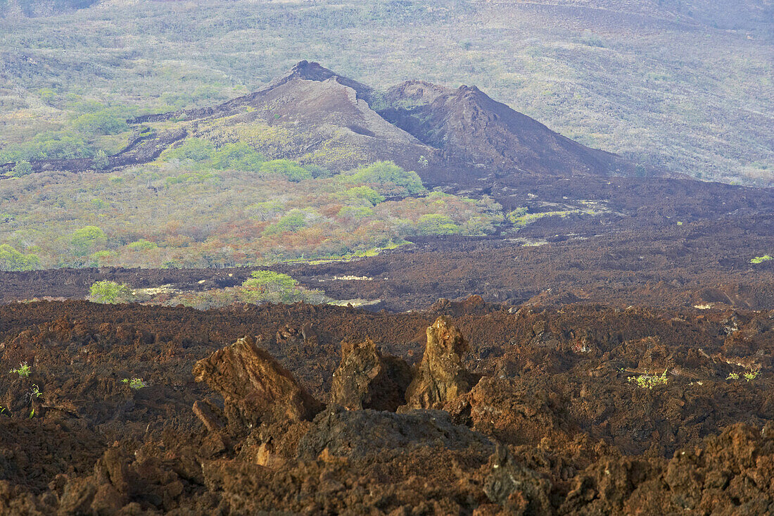 Blick von oben auf Lavagebiet, Insel Maui, Hawaii, USA, Amerika