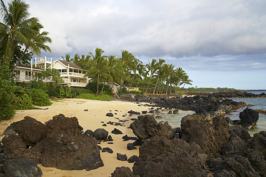 Ferienhäuser und Palmen am Strand, Malu'aka Beach, Insel Maui, Hawaii, USA, Amerika