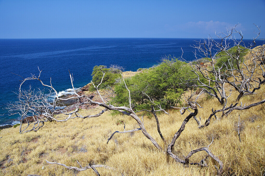 Blick von Papawai Point aufs Meer, Insel Maui, Hawaii, USA, Amerika