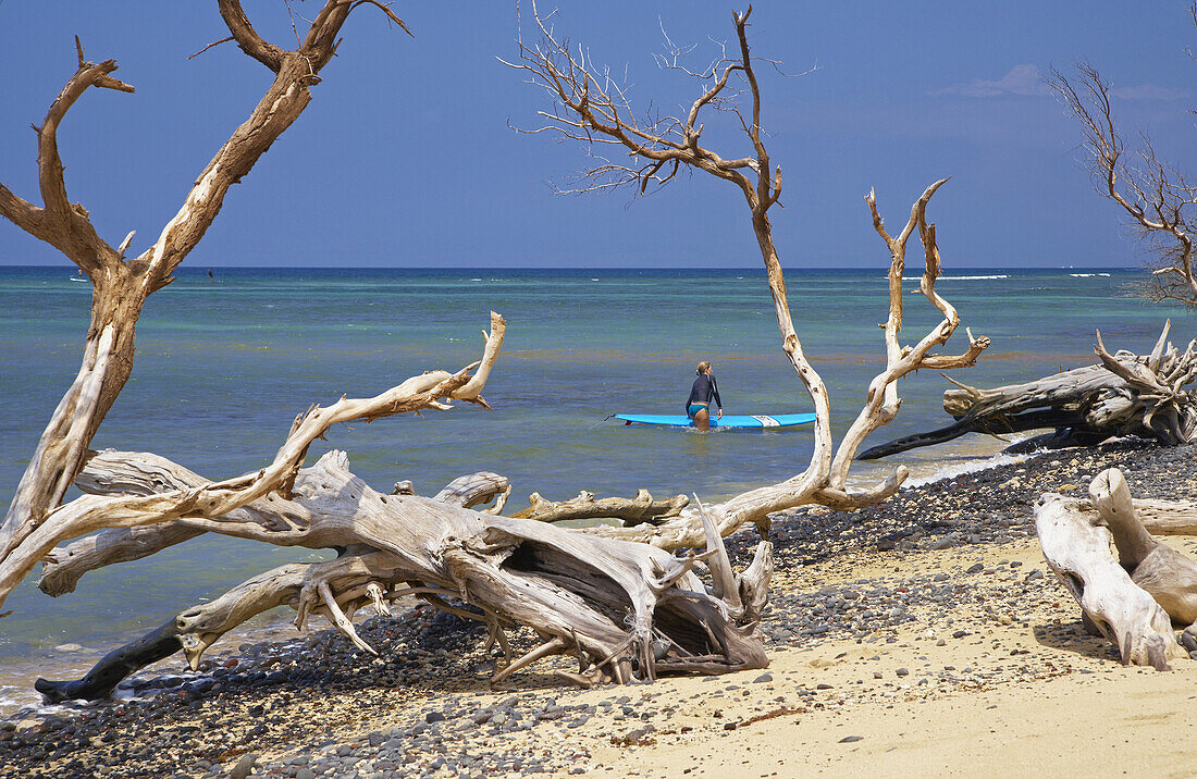 Treibholz und Surfer am Ukumehame Strand, Insel Maui, Hawaii, USA, Amerika