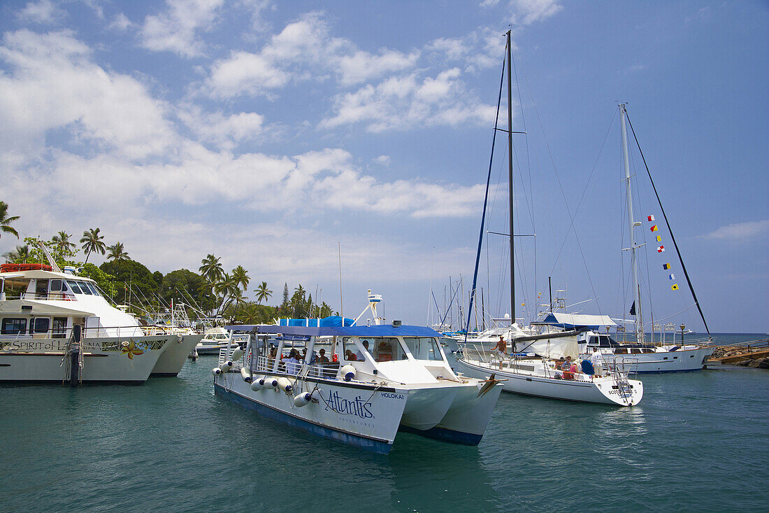 Yachts at Lahaina Harbour, Maui, Hawaii, USA, America