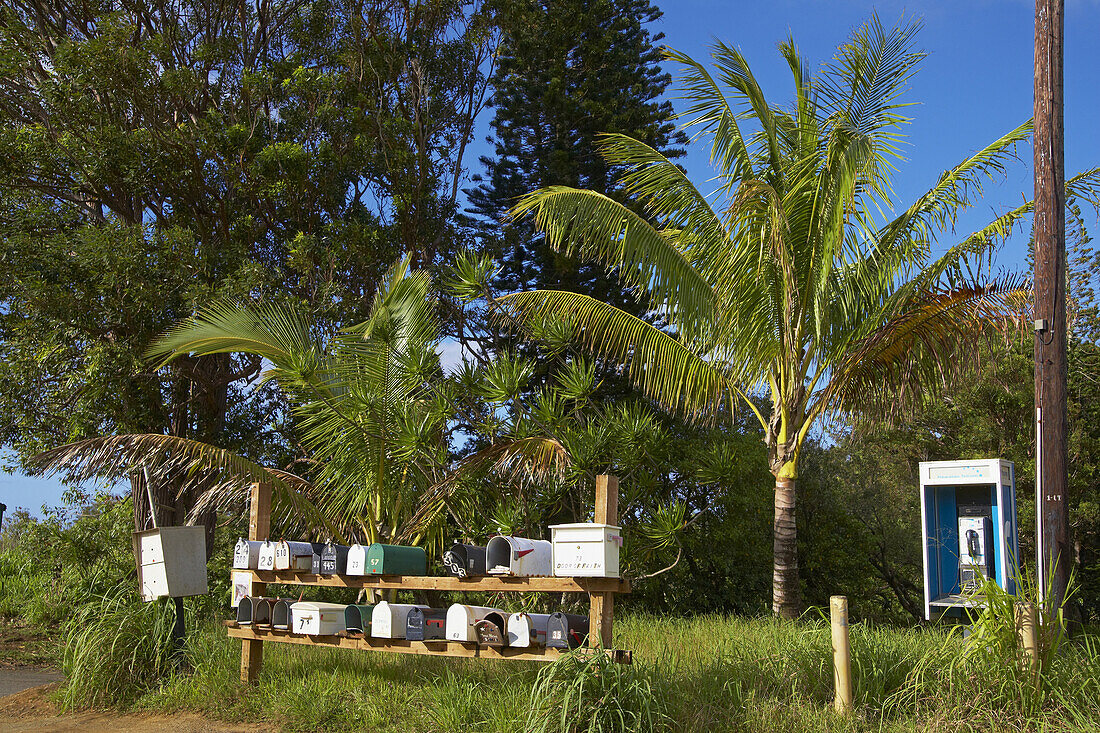 Letter box at the roadside of Hana Highway, Maui, Hawaii, USA, America