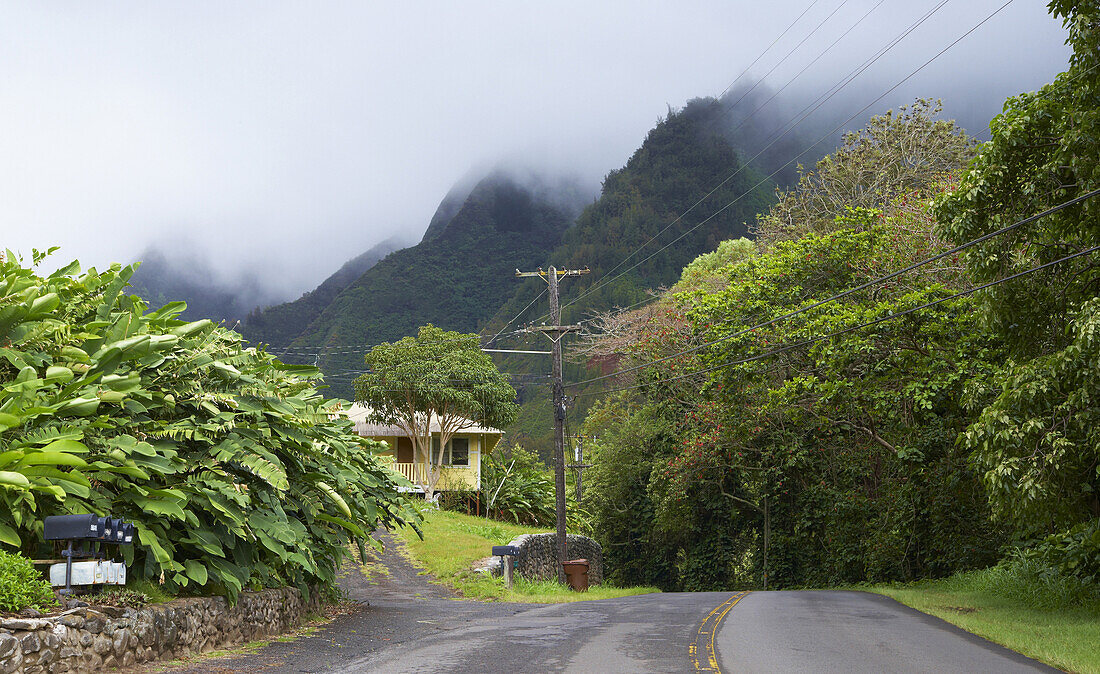 Street and rainforest at 'Iao Valley, Maui, Hawaii, USA, America