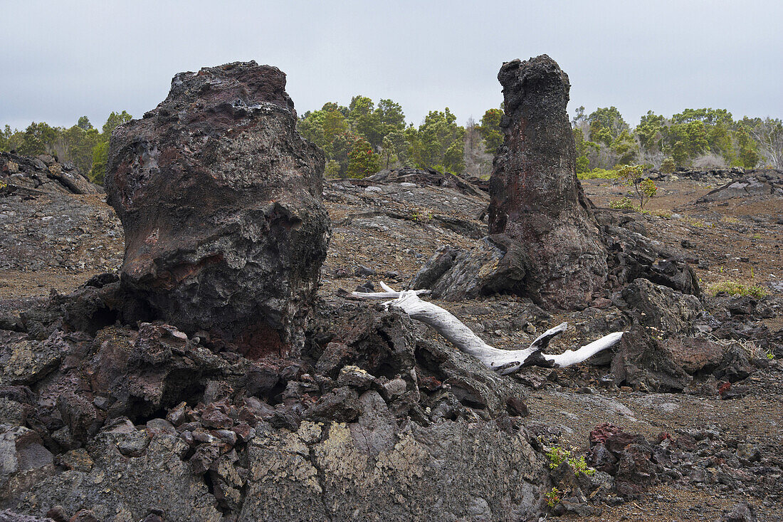 Lava rocks at Hawaii Volcanoes National Park, Chain of Craters Road, Big Island, Hawaii, USA, America