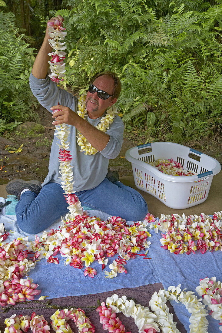 Ein Mann stellt Lei her, Akaka Falls State Park, Big Island, Hawaii, USA, Amerika