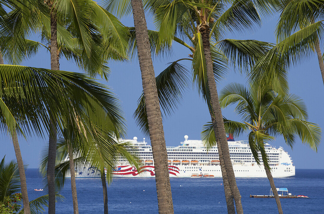 Kreuzfahrtschiff hinter Palmen, Kailua Kona, Big Island, Hawaii, USA, Amerika