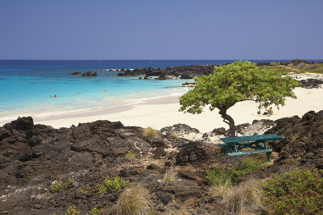 Coast area and beach in the sunlight, Kekaha Kai State Park, Big Island, Hawaii, USA, America