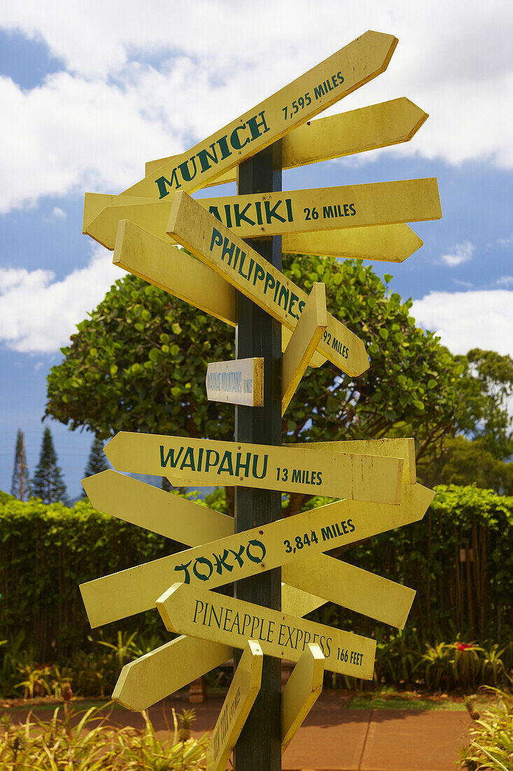 Wegweiser auf der Dole Plantage Hawaii, Oahu, Hawaii, USA, Nordamerika, Amerika