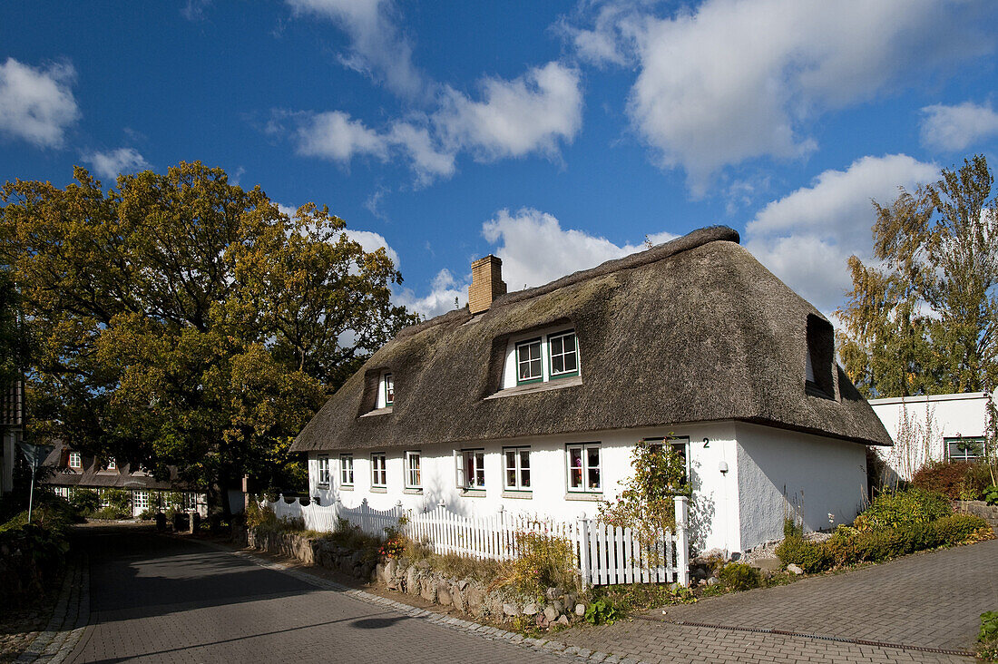 Thatched-roof house in Schoenhagen, Brodersby, Schleswig-Holstein, Germany