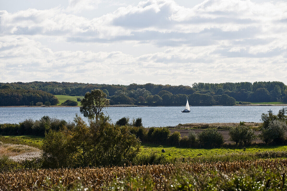 Sailboat on Schlei, Baltic Sea, Schleswig-Holstein, Germany