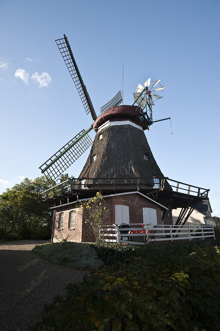Galerie-Holländer-Windmühle, Lindau, Boren, Schlei, Schleswig-Holstein, Deutschland