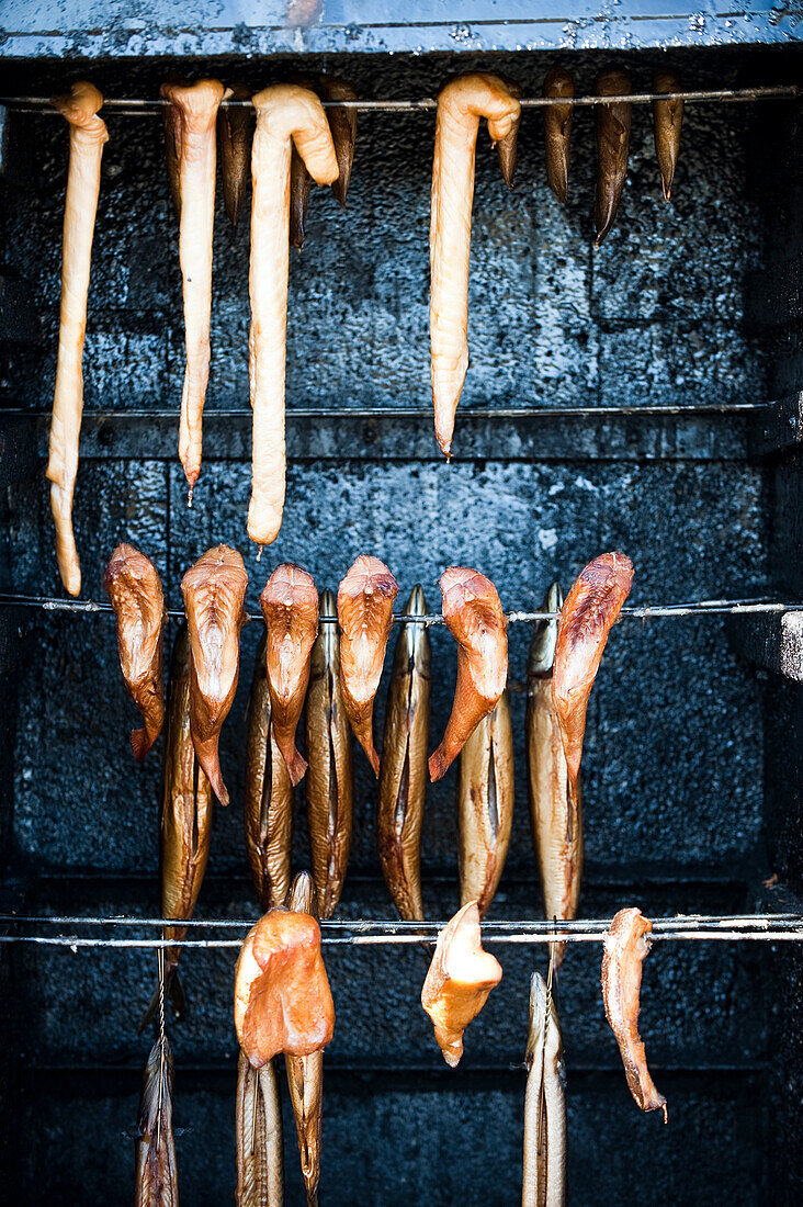 Fish smokery, Boltenhagen, Bay of Mecklenburg, Mecklenburg-Vorpommern, Germany