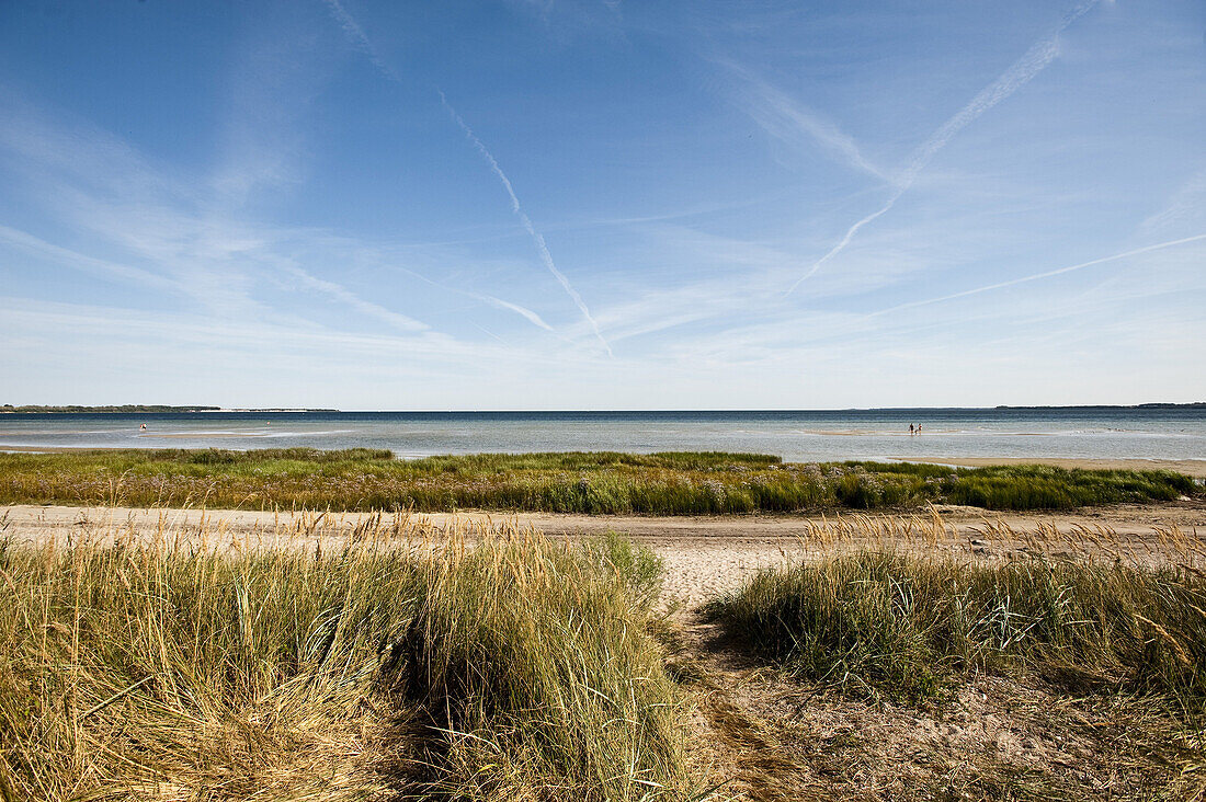 Beach, Boltenhagen, Bay of Mecklenburg, Mecklenburg-Vorpommern, Germany