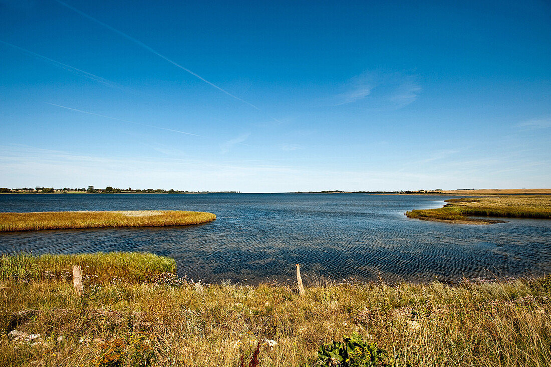 Coastal scenery, Poel island, Mecklenburg-Vorpommern, Germany
