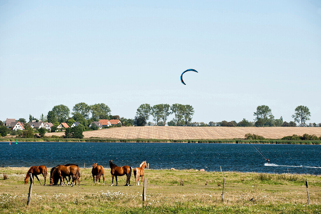 Kitesurfer in der Mecklenburger Bucht, Insel Poel, Mecklenburg-Vorpommern, Deutschland
