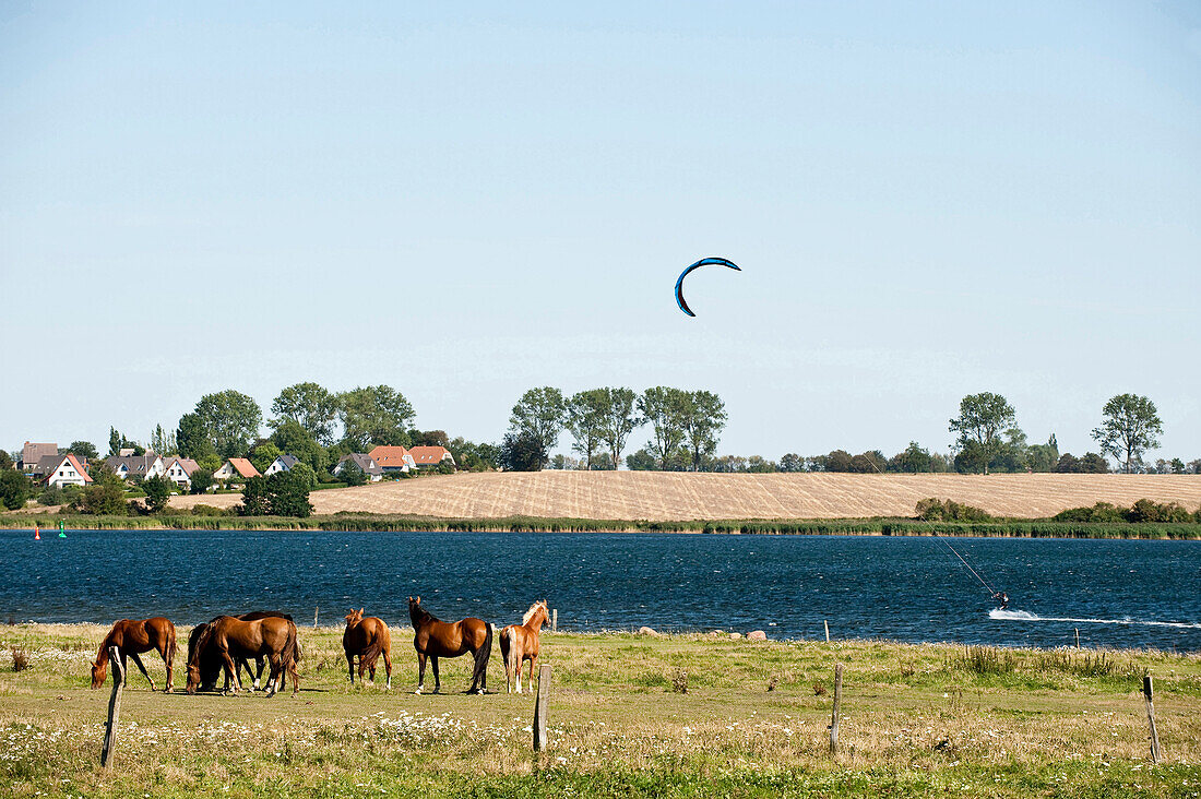 Kitsurfer in Bay of Mecklenburg, Poel island, Mecklenburg-Vorpommern, Germany