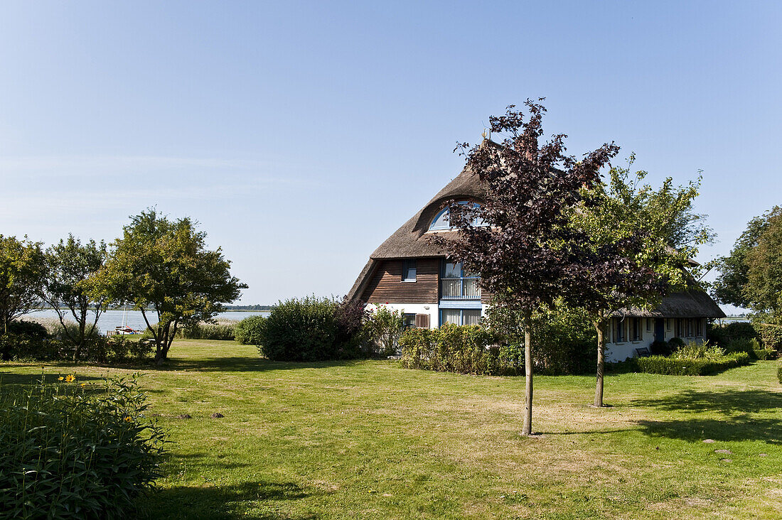 Reetdachhaus, Ostseebad Wustrow, Fischland-Darß-Zingst, Mecklenburg-Vorpommern, Deutschland