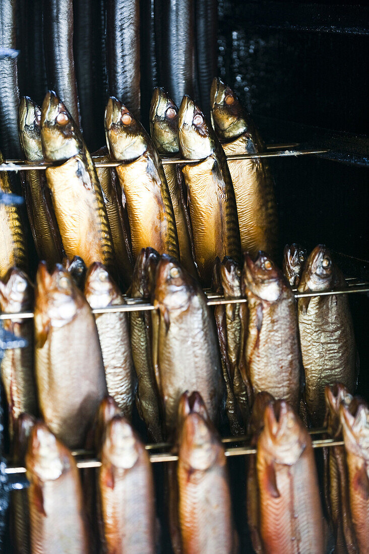 Fish smokery, Ahrenshoop, Fischland-Darss-Zingst, Mecklenburg-Vorpommern, Germany