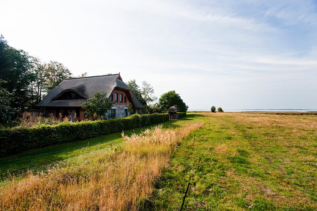 Saaler Bodden, Darß, Fischland-Darß-Zingst, Mecklenburg-Vorpommern, Deutschland