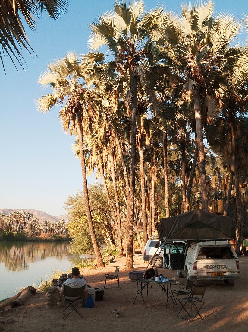 Namibia - The beautiful campsite of the Omarunga Camp in the shade of Makalani palm trees Hyphaene petersiana at the bank of the Kunene River very close to the Epupa Falls The Kunene is border river between Namibia and Angola Kaokoland, Kunene region, N