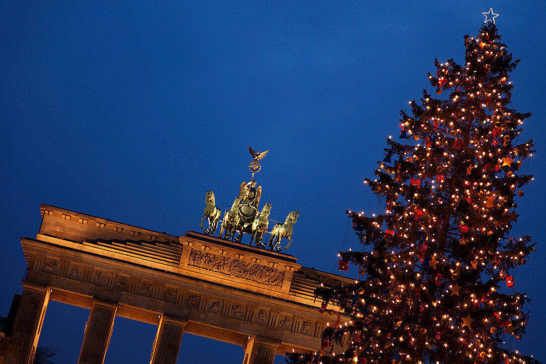Weihnachtsbaum beim Brandenburger Tor, Berlin, Deutschland