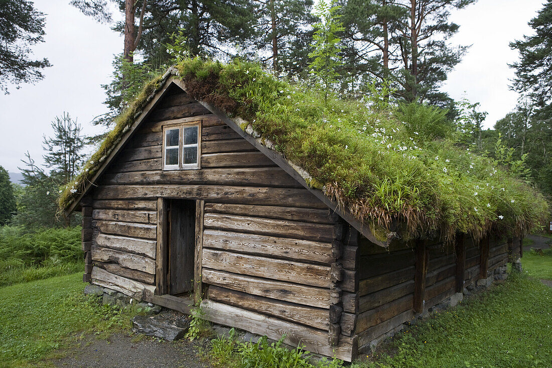 Grasdach auf traditionellem Haus im Sunnmore Freilichtmuseum, Alesund, More og Romsdal, Norwegen, Europa