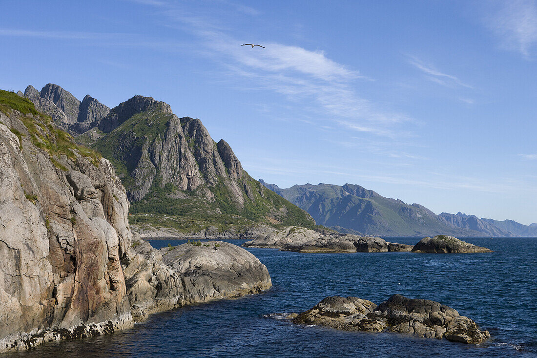Coastline, near Hamnoy, Moskenesoy, Lofoten, Nordland, Norway, Europe