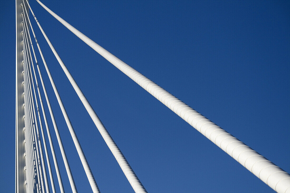 Detalle del Puente de L´Assut d´Or, CIudad de las Artes y las Ciencias, Valencia.