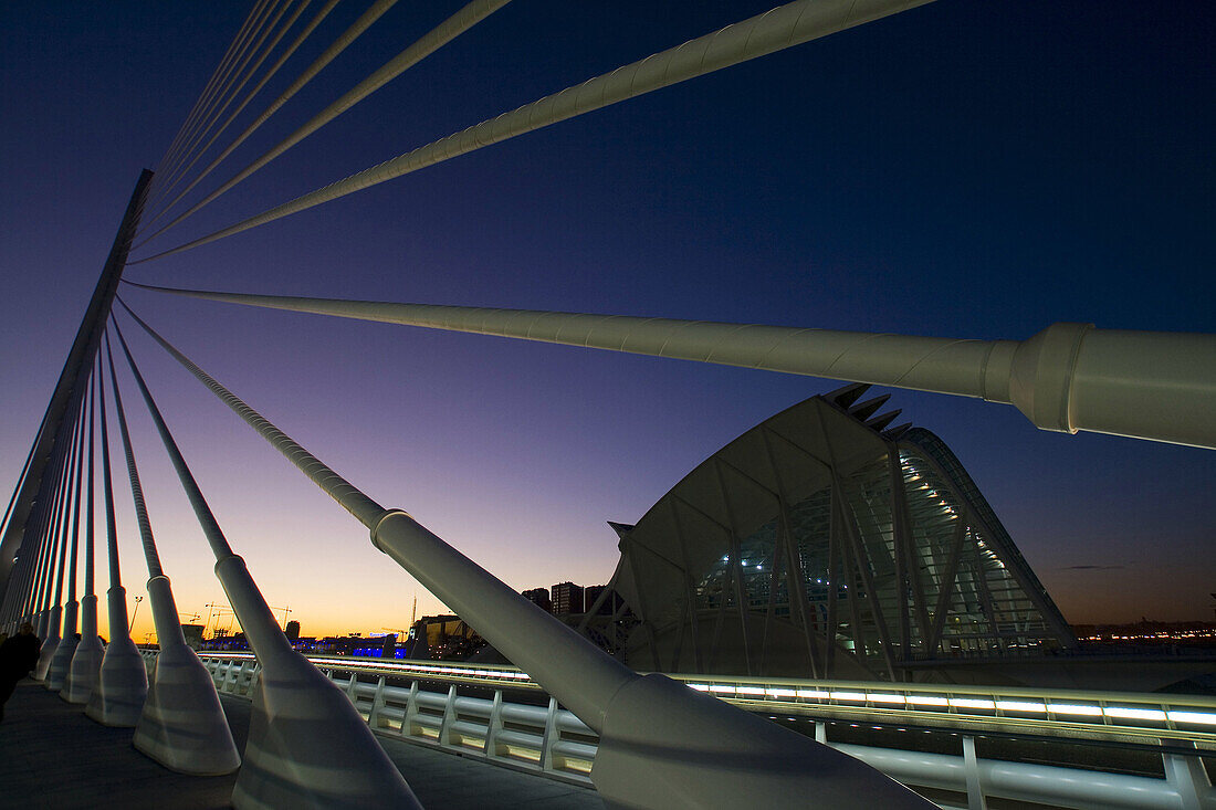 Vista de la Ciudad de las Artes y las Ciencias desde el puente de l´Assut d´Or, Valencia.