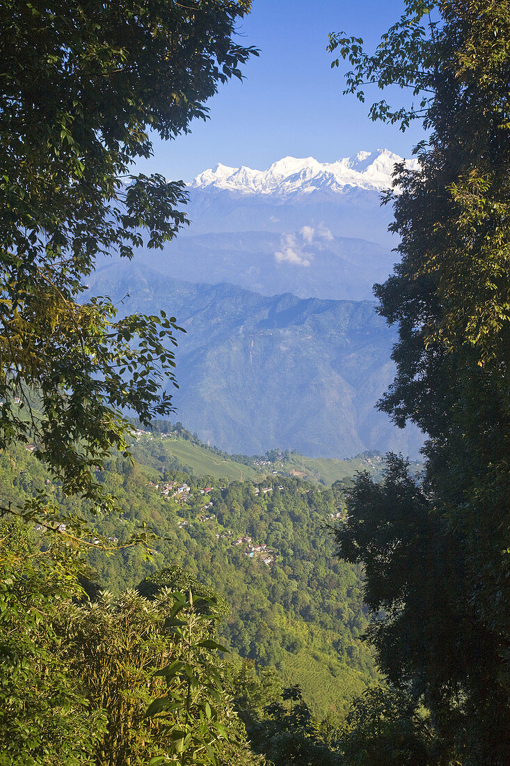 View of Kanchenjunga from Shruberry Nightingale Park, Darjeeling, West Bengal, India