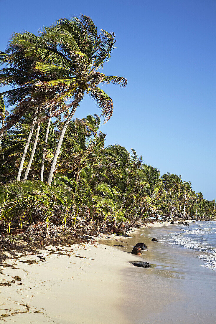 Iguana Beach, Little Corn Island, Corn Islands, Nicaragua