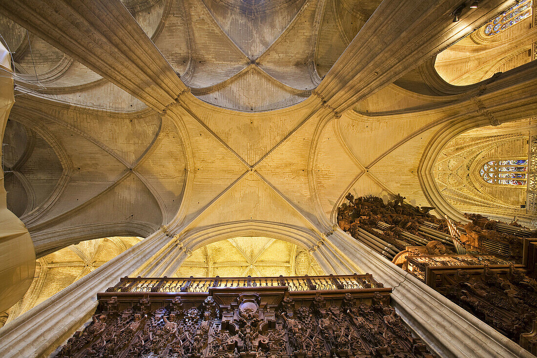 Gothic cross vault and organ on the right, cathedral of Seville. Andalusia, Spain