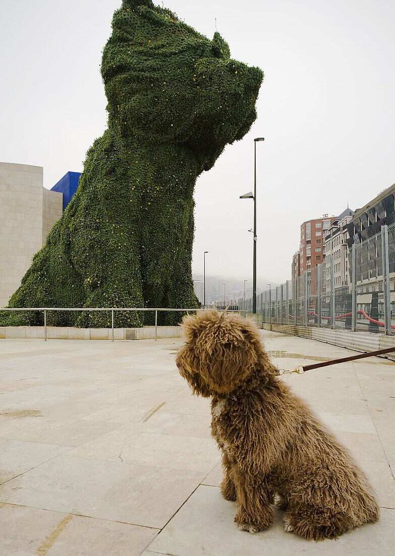 On background´Puppy´, sculpture by Jeff Koons, in front of Guggenheim Museum by Frank O. Gehry. Bilbao. Biscay, Spain