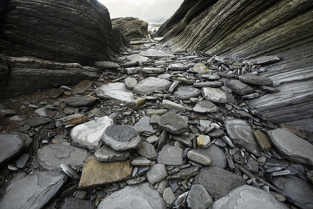 Flysch at Punta Mendata, Deva, Guipuzcoa  Gipuzkoa), Basque Country, Spain