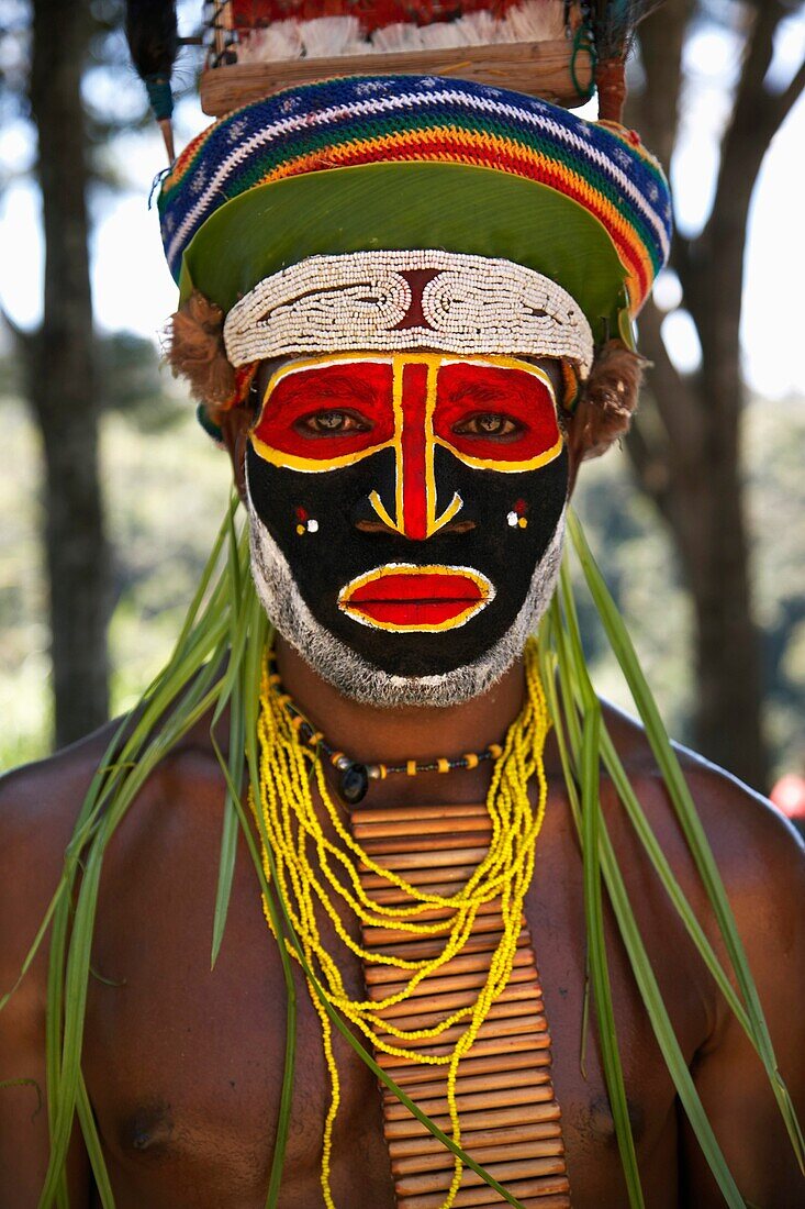 Tribu Mendi en el Sing Sing de Paiakona, Mount Hagen, Tierras Altas Occidentales, Papua Nueva Guinea, Papua New Guinea