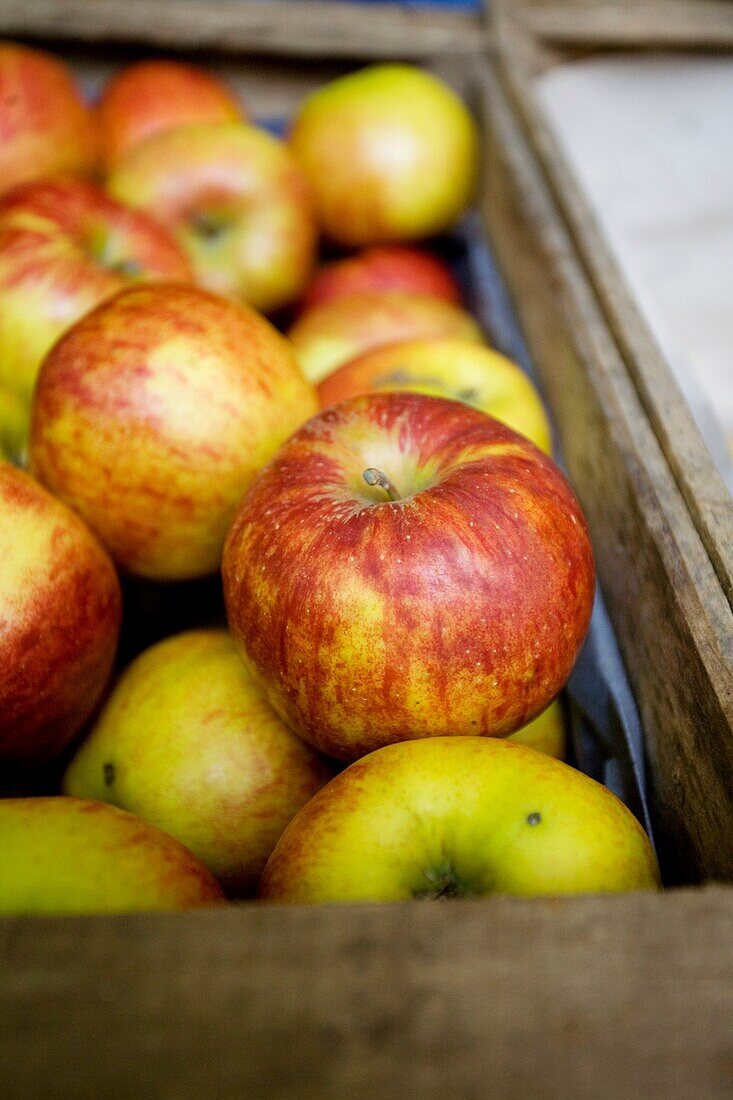 APPLES, FOOD MARKET, APPLE BOX