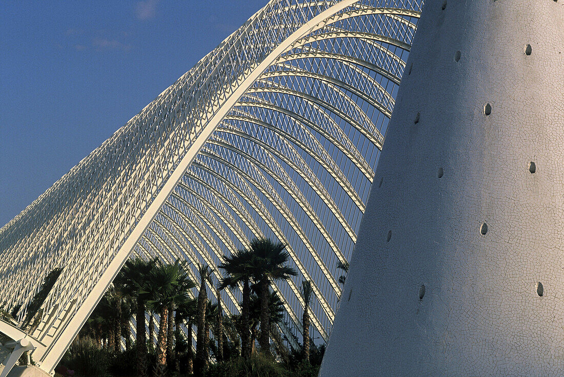 Spain. Valencia. City of the Arts and the Sciences. L´Umbracle, a landscaped walk with plant species indigenous to Valencia  such as rockrose, lentisca, romero, lavender, honeysuckle, bougainvillea, palm tree). It harbors in its interior The Walk of the S